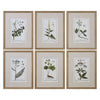 Green Floral Botanical Study Framed Prints