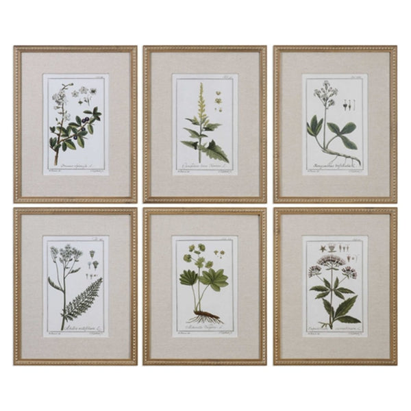 Green Floral Botanical Study Framed Prints