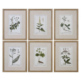 Mintwood Development