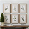 Green Floral Botanical Study Framed Prints