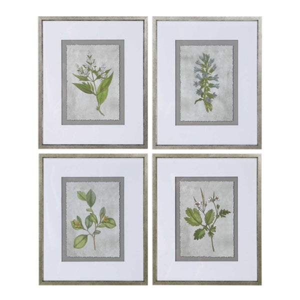Stem Study Framed Prints