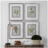 Stem Study Framed Prints