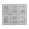 Moonlight Ferns Framed Prints