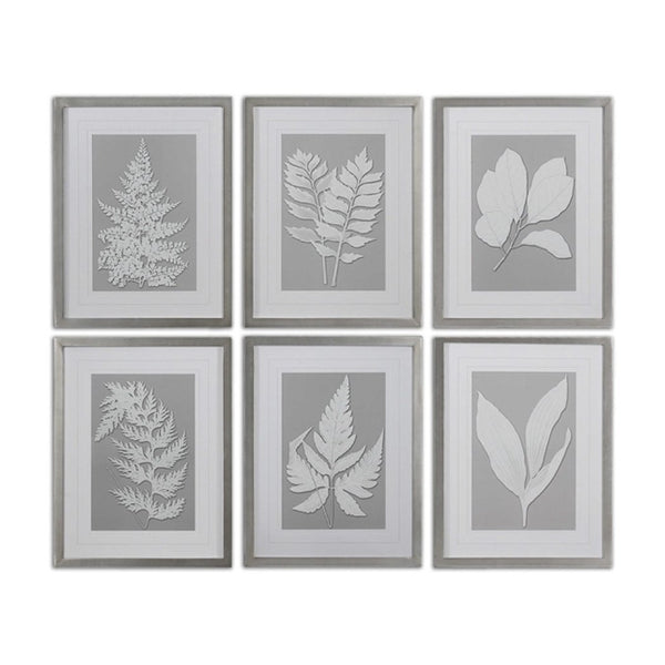 Moonlight Ferns Framed Prints