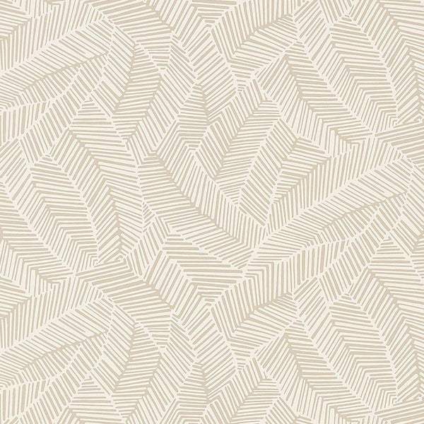 Mintwood Development