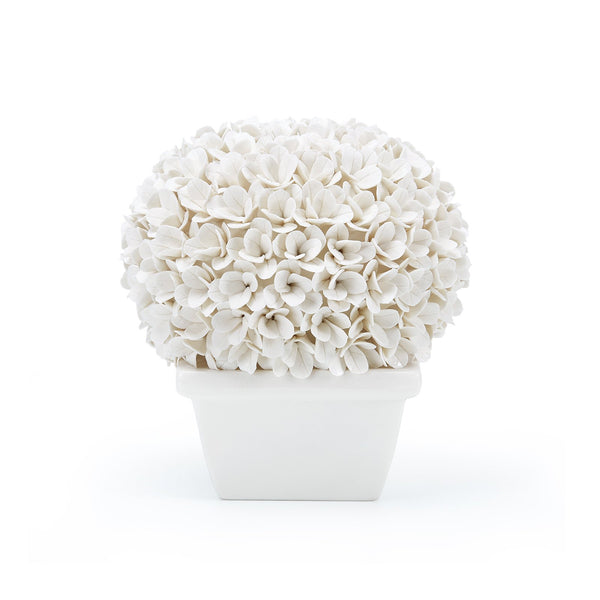 Bungalow 5 Boston Round Boxwood Topiary