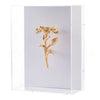 Copper Fragments in Shadow-Box Frame
