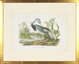 Mintwood Development