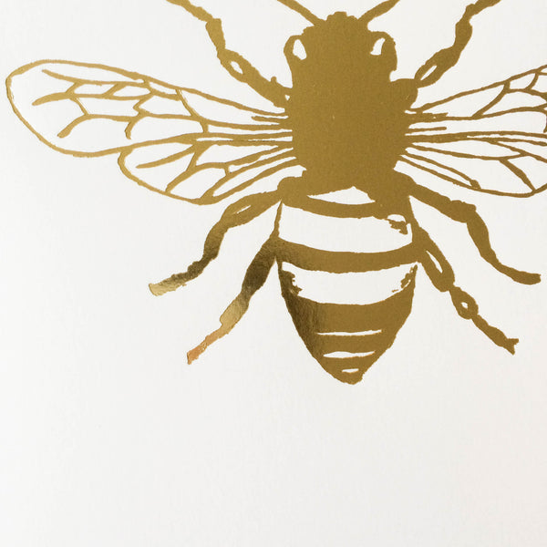 Mintwood Development