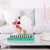 E Design Packages