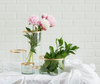 Gold Rimmed Vase