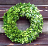 Boxwood Wreath