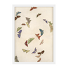 Kono Butterflies 3 Print