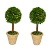 Preserved Boxwood Topiary Single Ball Set of Two