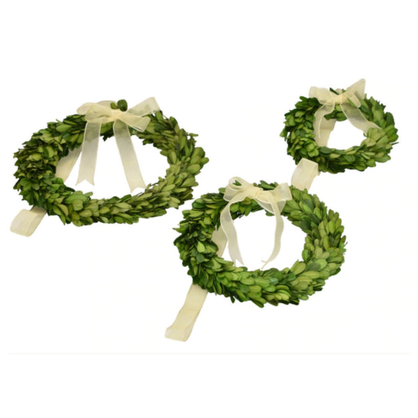 Preserved Boxwood Wreath - Round with Ribbon