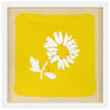 Yellows 2