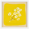 Yellows 3
