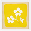 Yellows 8