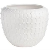 Mintwood Development