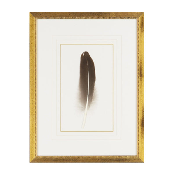 Feather Number One Framed Art