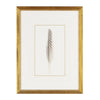 Feather Number Two Framed Art