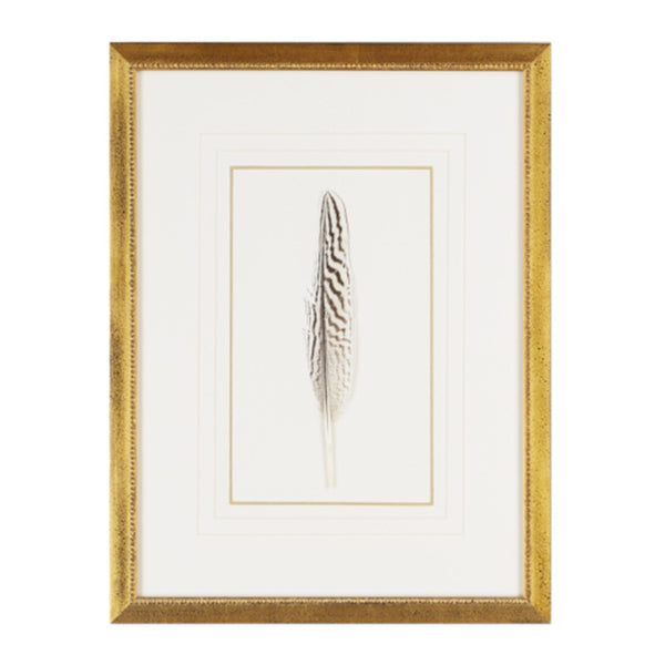 Feather Number Two Framed Art
