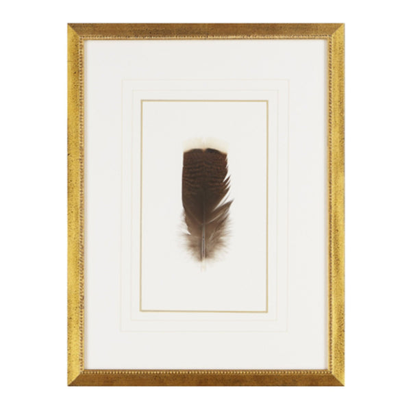 Feather Number Four Framed Art