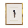 Feather Number Seven Framed Art