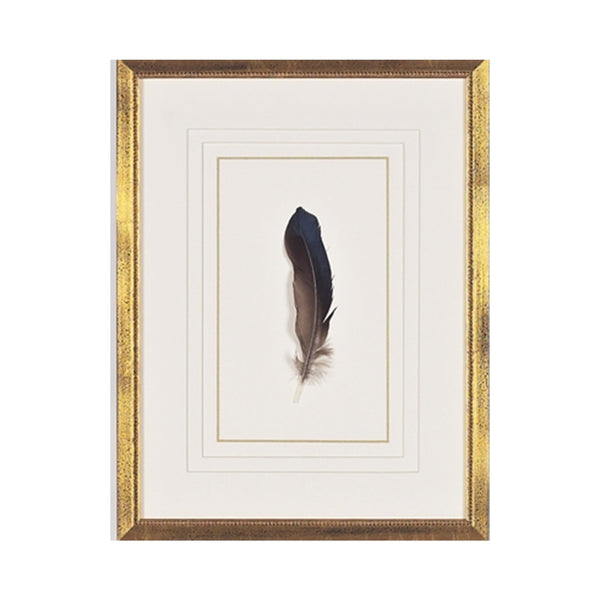 Feather Number Seven Framed Art