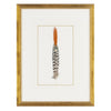 Feather Number Eight Framed Art