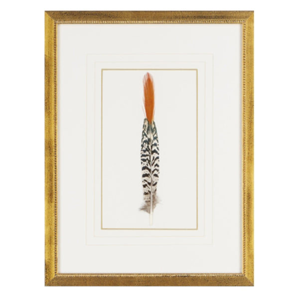 Feather Number Eight Framed Art