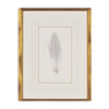 Feather Number Five Framed Art