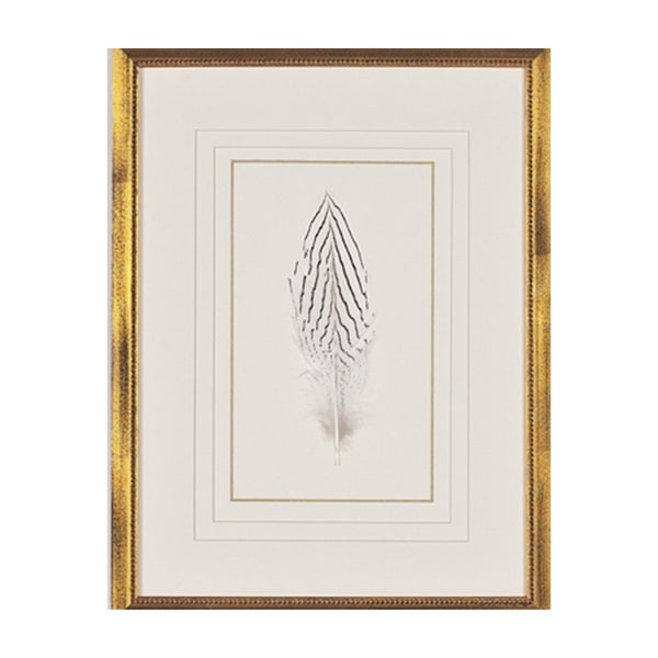 Feather Number Five Framed Art