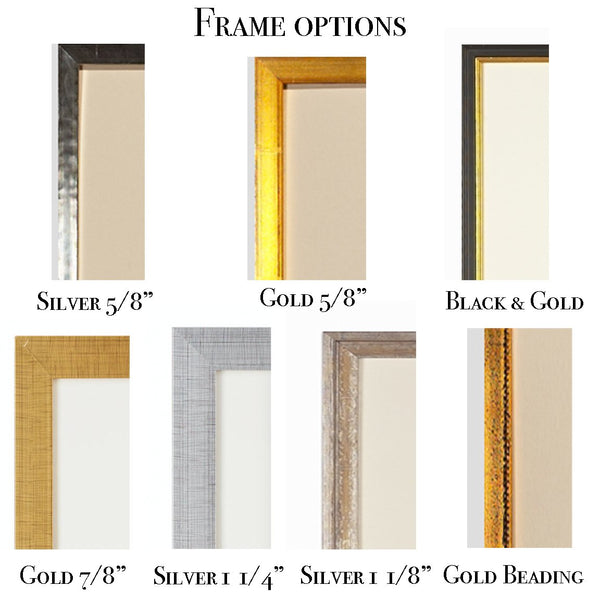 Mintwood Development