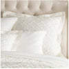 Washed Linen Sham